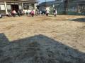 2025houshi01IMG_5933