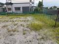 2025houshi2IMG_6004