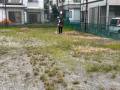 2025houshi2IMG_6005