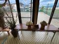 2025tsukiIMG_6129