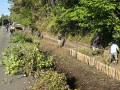 2025tsuijiIMG_5816