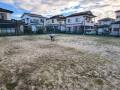 2026houshiIMG_6479