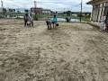 2026houshiIMG_6515