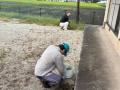 2026houshi02IMG_6692