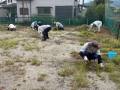2026houshi02IMG_6697