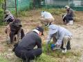 2026houshi02IMG_6699