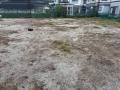 2026houshi02IMG_6704