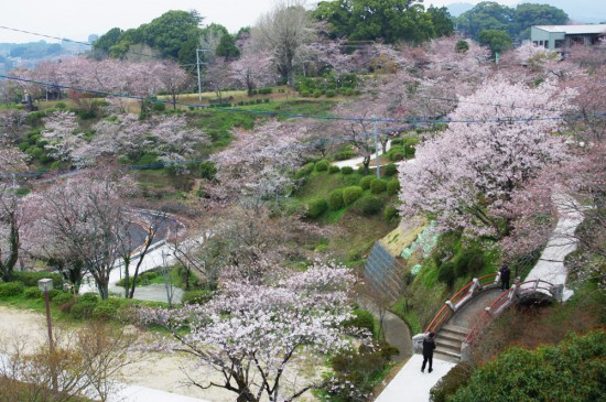 城山公園の展望台から撮影